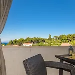 Complex 32 וולי לוסיניי