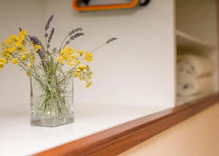 Complex 32 Veli Lošinj